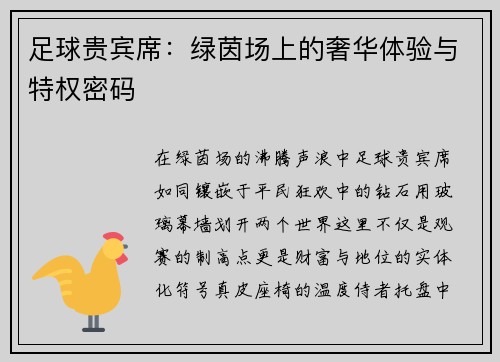 足球贵宾席：绿茵场上的奢华体验与特权密码